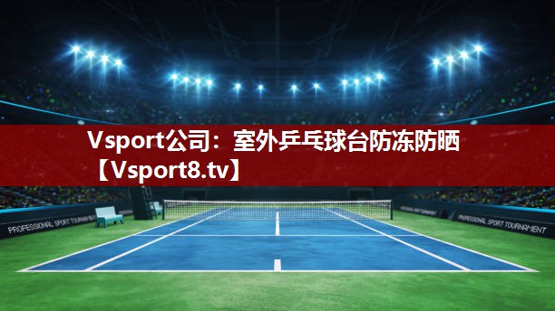 Vsport公司：室外乒乓球台防冻防晒