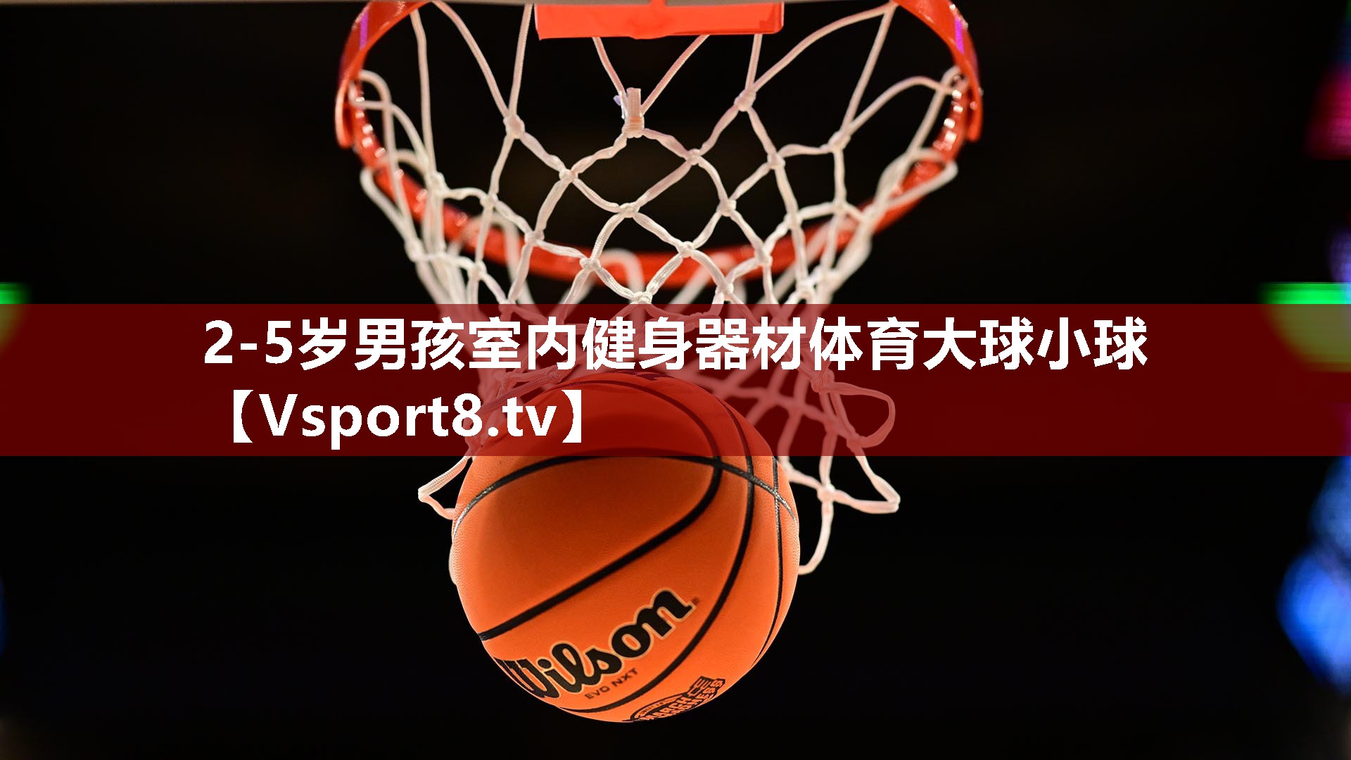 2-5岁男孩室内健身器材体育大球小球