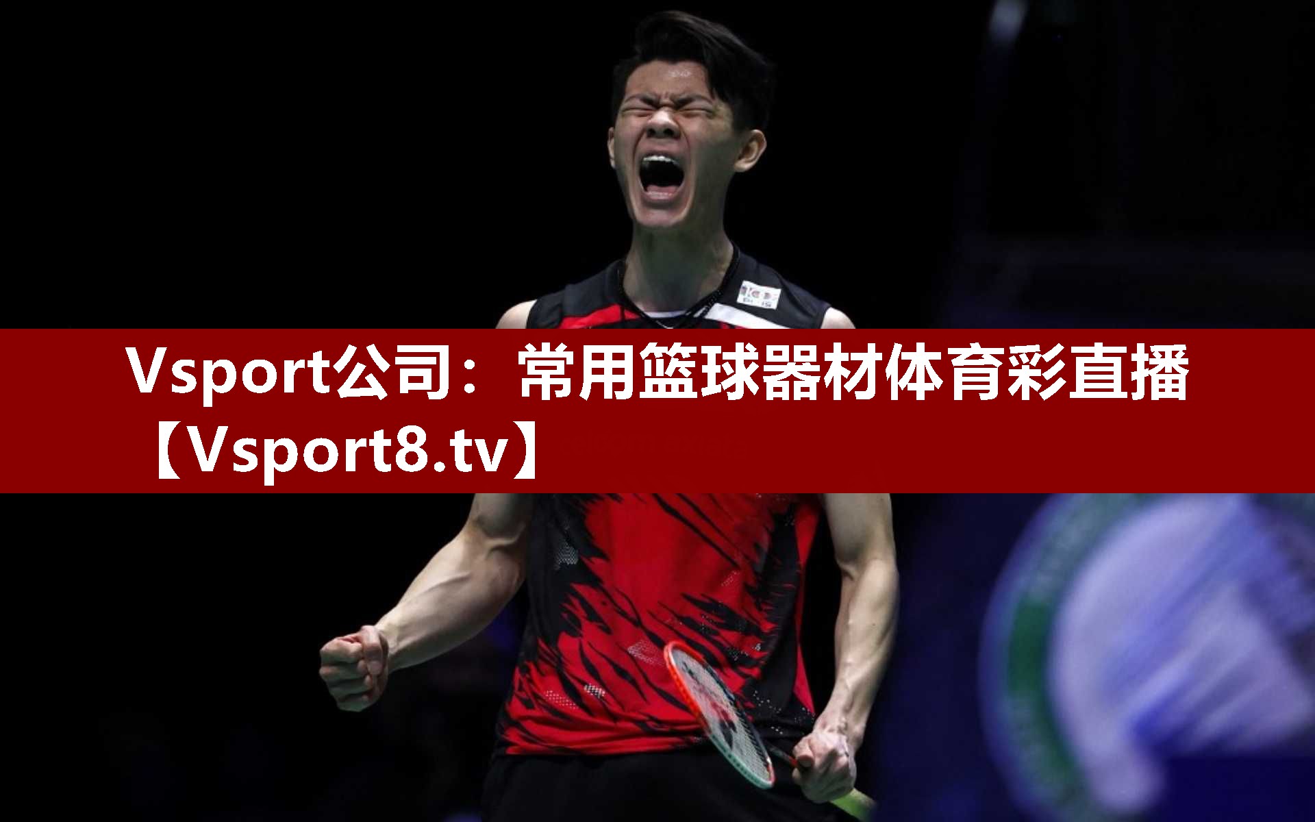Vsport公司：常用篮球器材体育彩直播