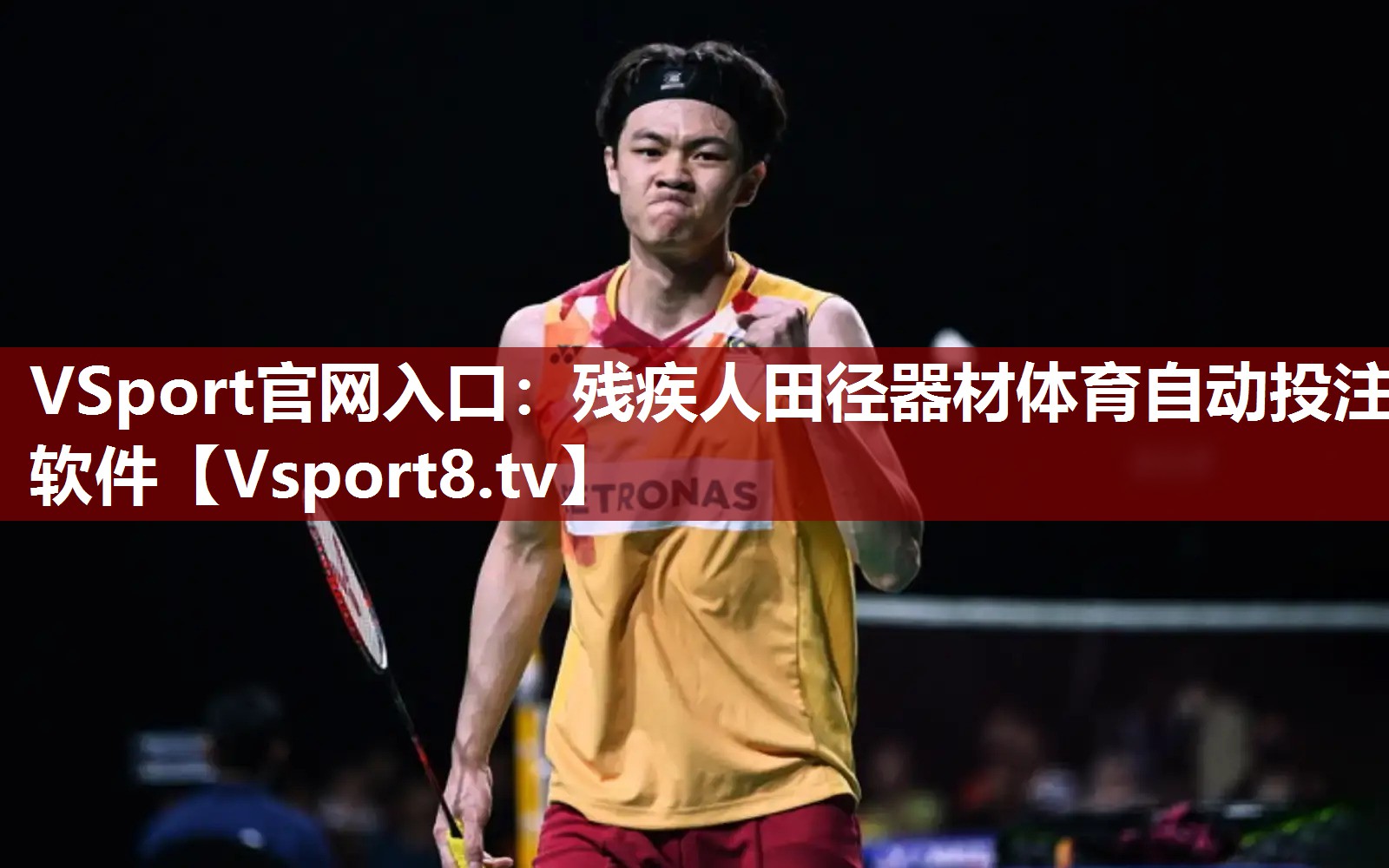 VSport官网入口：残疾人田径器材体育自动投注软件