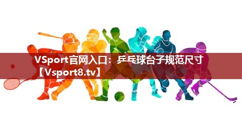 VSport官网入口：乒乓球台子规范尺寸