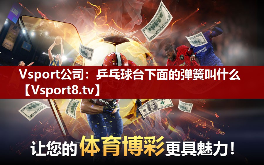 Vsport公司：乒乓球台下面的弹簧叫什么
