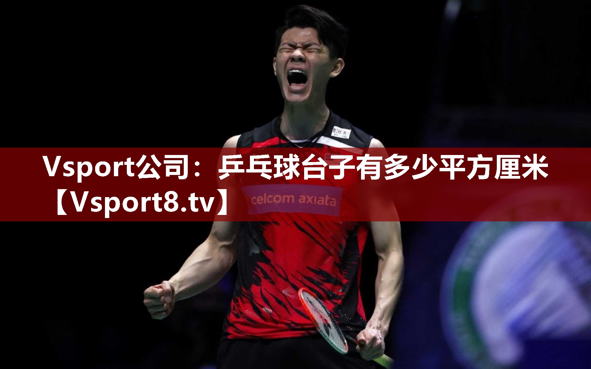 Vsport公司：乒乓球台子有多少平方厘米