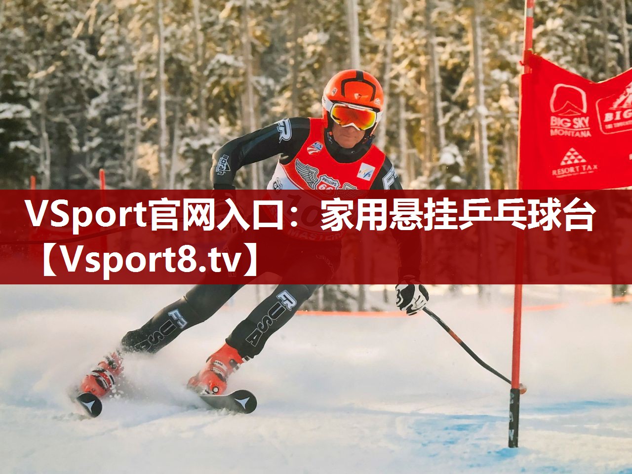 VSport官网入口：家用悬挂乒乓球台
