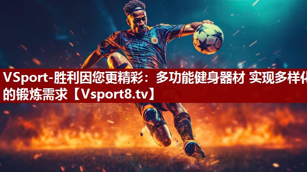VSport-胜利因您更精彩：多功能健身器材 实现多样化的锻炼需求