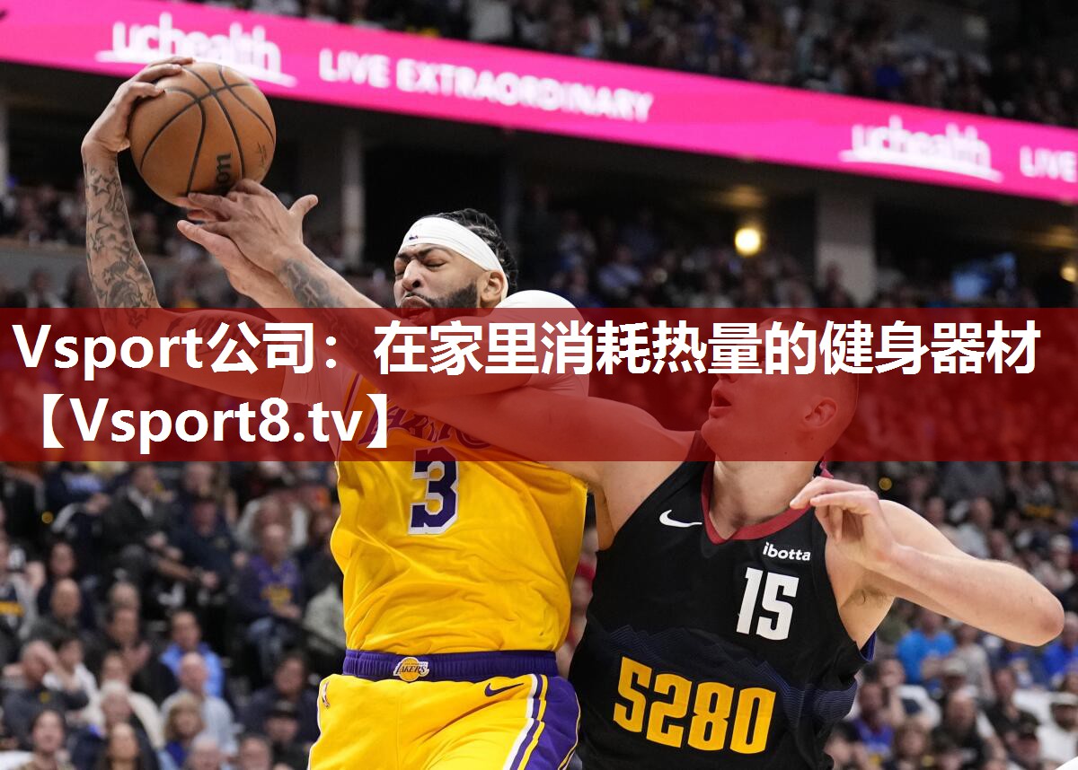 Vsport公司：在家里消耗热量的健身器材