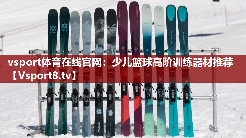 vsport体育在线官网：少儿篮球高阶训练器材推荐