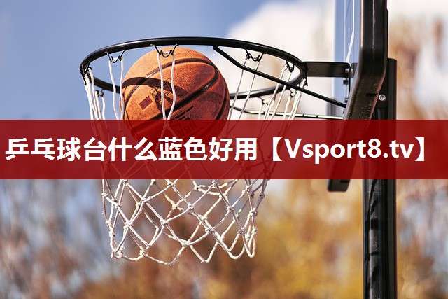 乒乓球台什么蓝色好用