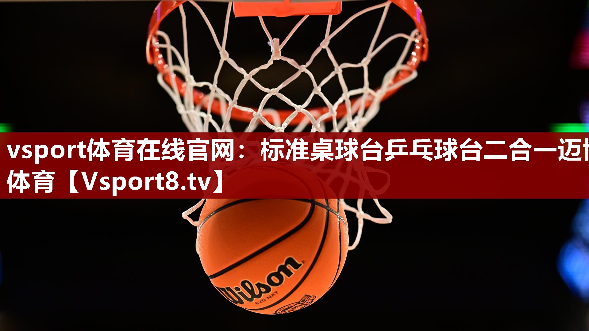 vsport体育在线官网：标准桌球台乒乓球台二合一迈博体育