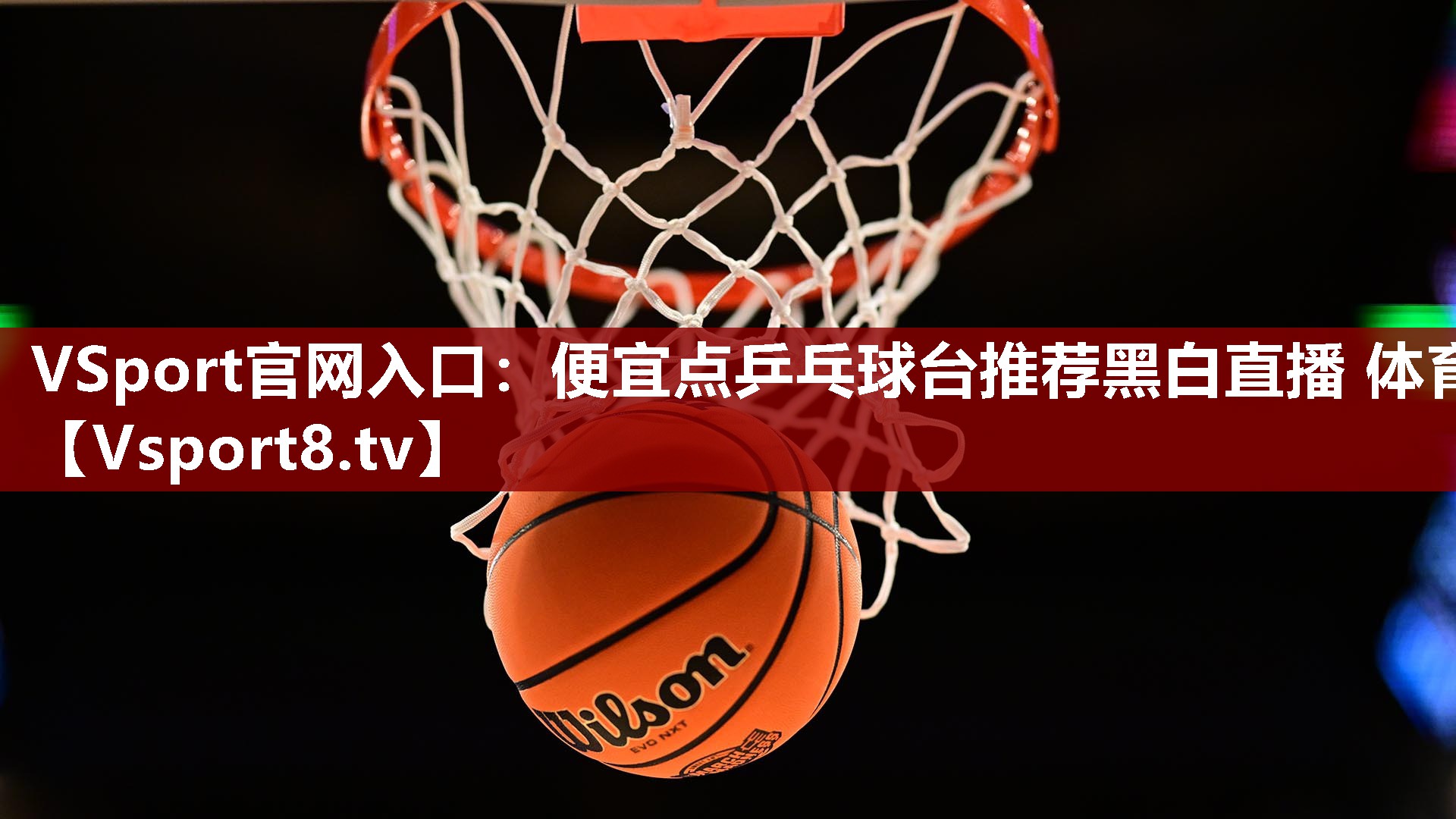 VSport官网入口：便宜点乒乓球台推荐黑白直播 体育