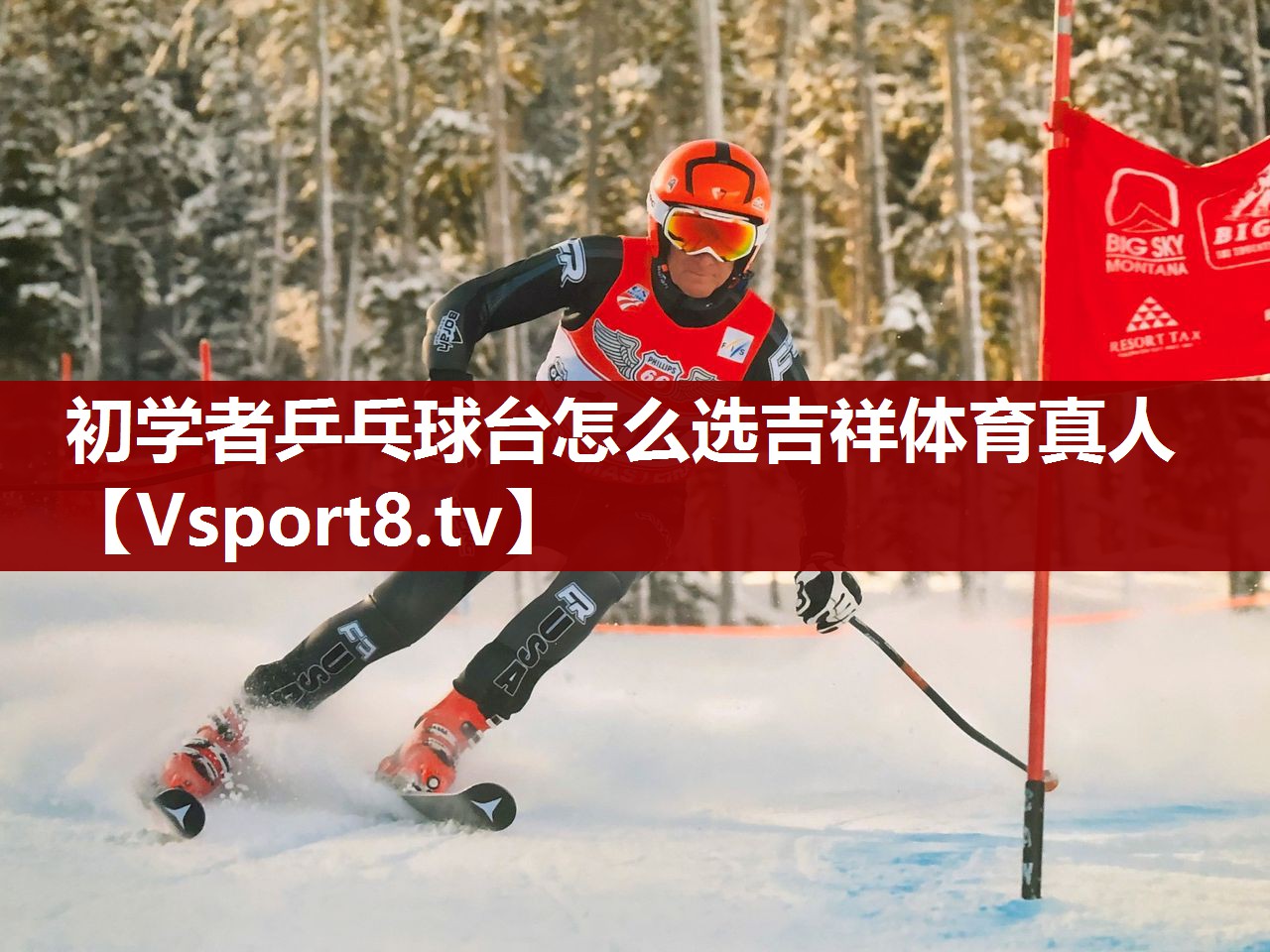 初学者乒乓球台怎么选吉祥体育真人