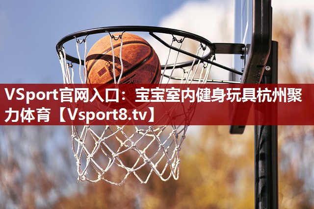 VSport官网入口：宝宝室内健身玩具杭州聚力体育