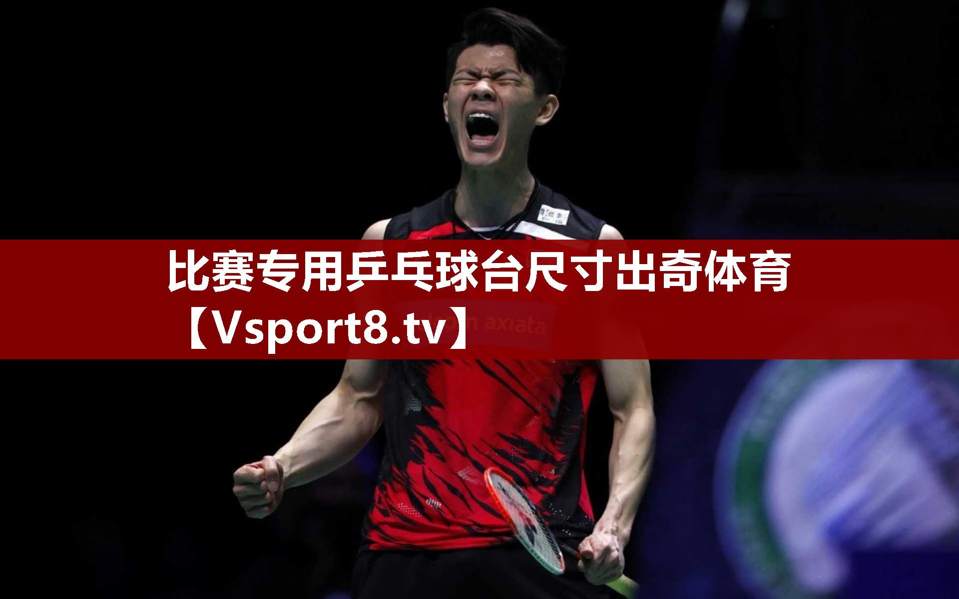比赛专用乒乓球台尺寸出奇体育