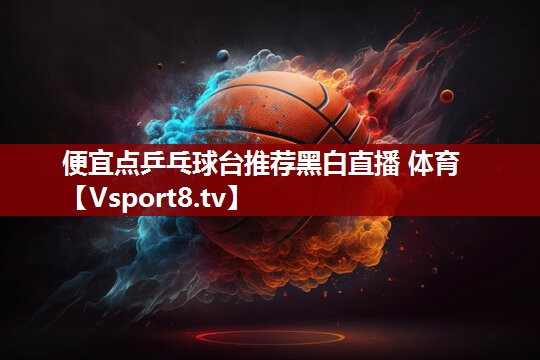 便宜点乒乓球台推荐黑白直播 体育