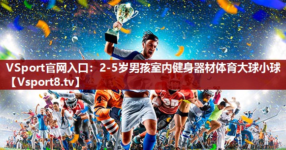 VSport官网入口：2-5岁男孩室内健身器材体育大球小球