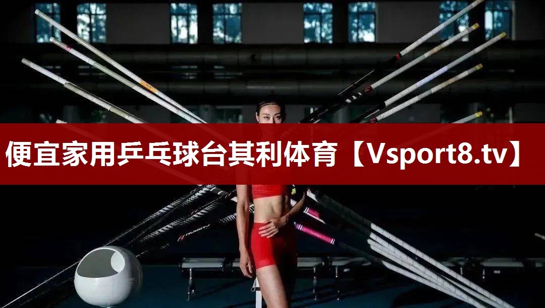 便宜家用乒乓球台其利体育
