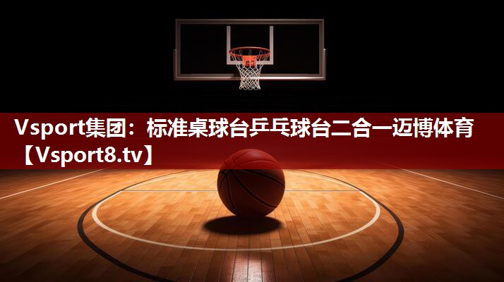 Vsport集团：标准桌球台乒乓球台二合一迈博体育