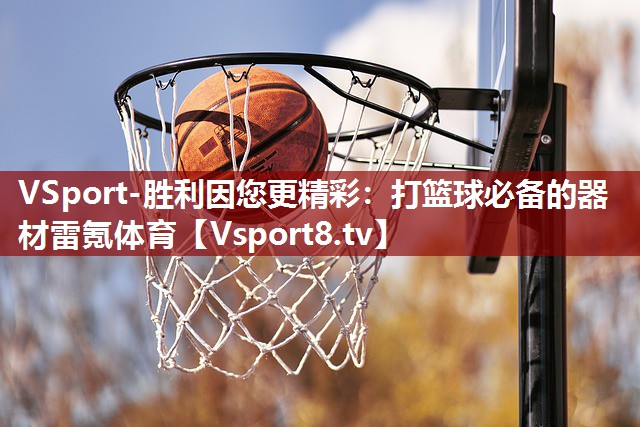 VSport-胜利因您更精彩：打篮球必备的器材雷氪体育