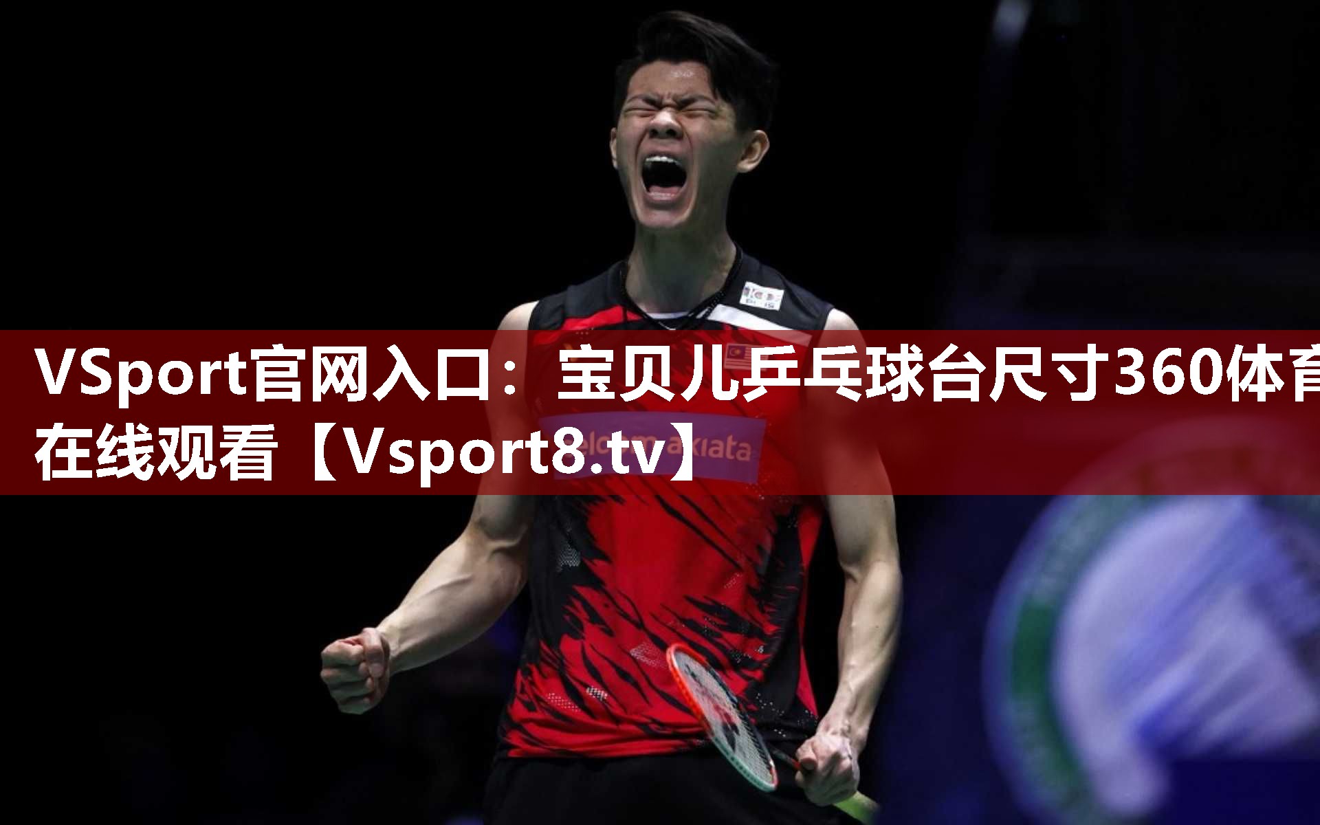 VSport官网入口：宝贝儿乒乓球台尺寸360体育在线观看