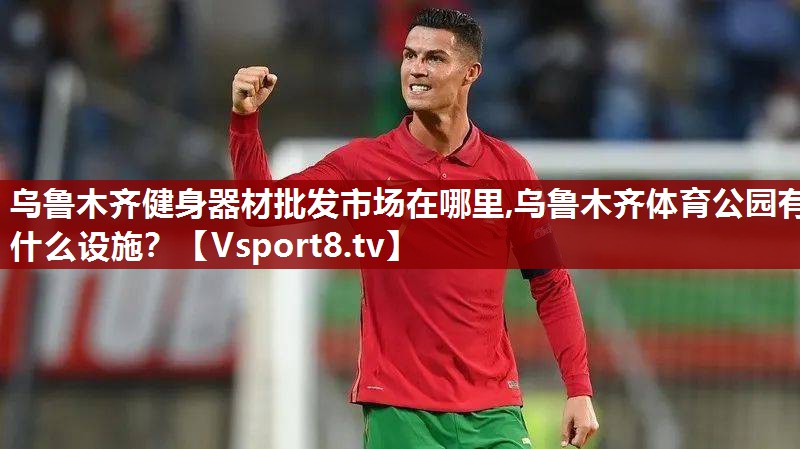 乌鲁木齐健身器材批发市场在哪里,乌鲁木齐体育公园有什么设施？