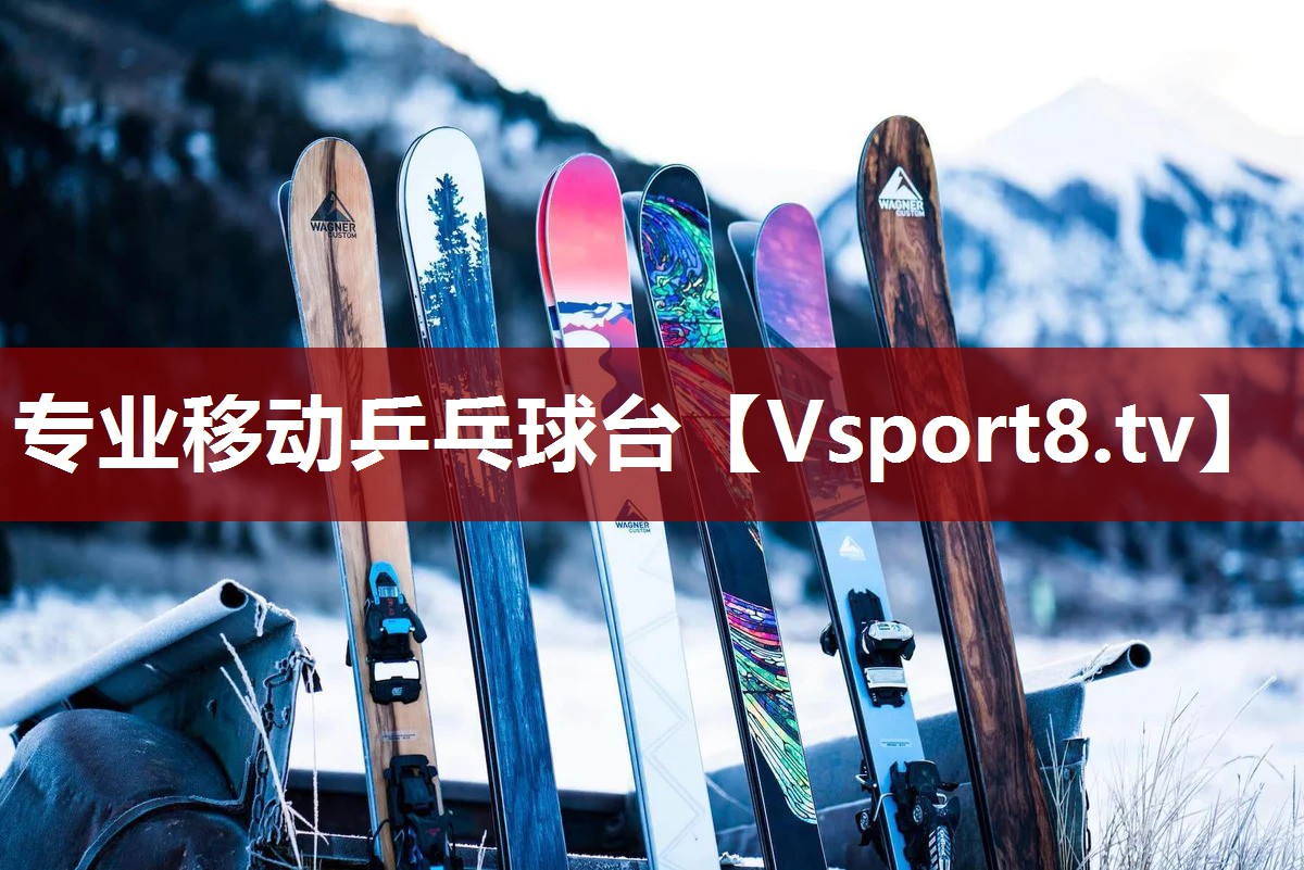 专业移动乒乓球台