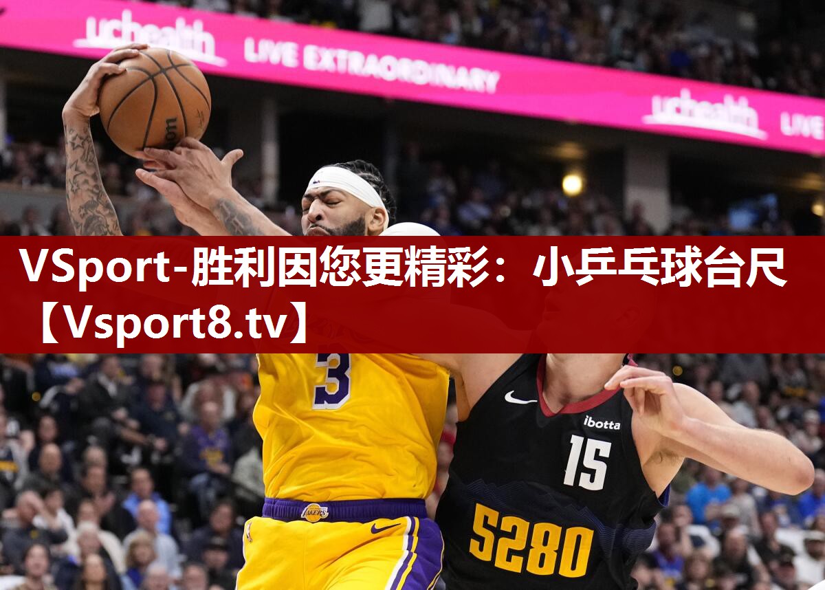 小乒乓球台尺