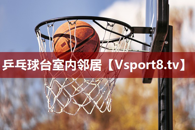 乒乓球台室内邻居