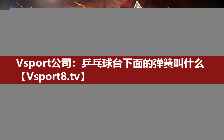 乒乓球台下面的弹簧叫什么